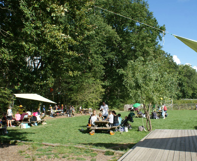 Foret des vert tiges parc accrobranche à Pau